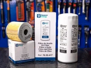 Serie Filtri per motori Guascor