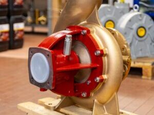 Pompa CM125 D 250MH Forani & Pecorari